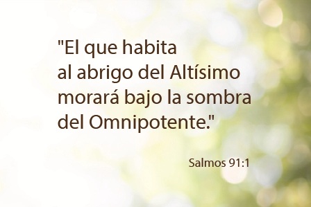 opaco y texto