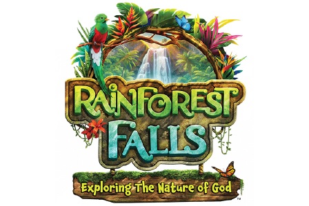 rainforest falls